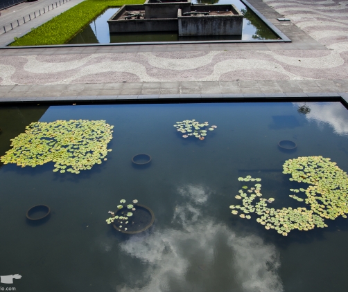 mg_7523